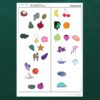 Affiche avec les pictogrammes de couleurs de Phonocolor sans légende