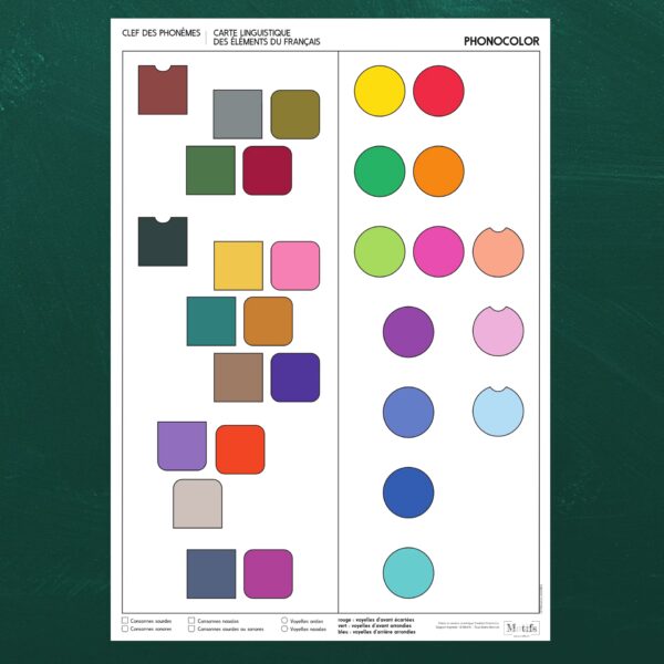 Affiche des phonèmes pour l'apprentissage des sons du français à l'aide des couleurs de Phonocolor